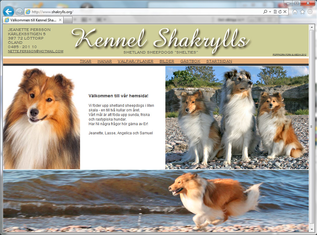 Kennel Shakrylls